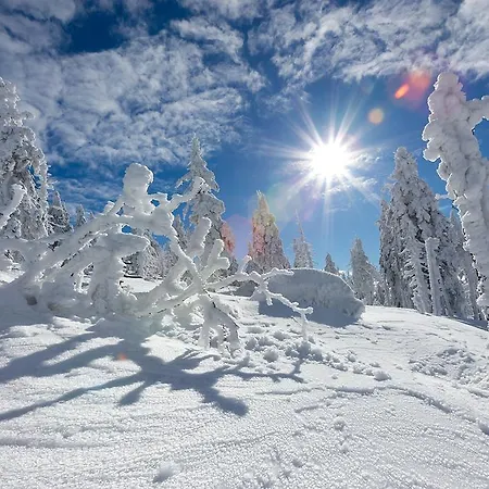 Karpatka 1 Przy Wyciagu Narciarskim Appartement Karpacz