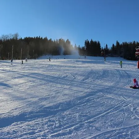 Karpatka 1 Przy Wyciagu Narciarskim 4 Sypialni 2 Lazienki アパート *