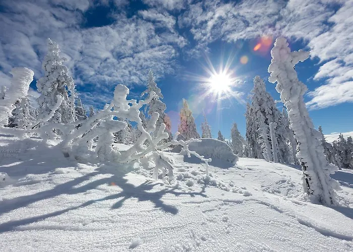 Karpatka 1 Przy Wyciagu Narciarskim Apartment Karpacz